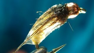 Tying the Catgut Caddis Pupa with Davie McPhail [upl. by Heiney669]