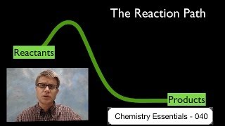 The Reaction Path [upl. by Maryjane]