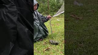 Camping In The Rain shorts campingintherain campinginheavyrain camping solocamping [upl. by Auqinal]