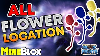 How to Find all Flowers Locations in Blox Fruits [upl. by Suqram645]