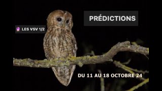 1118 OCTOBRE 2024  GUIDANCE LES VSV 12 🔮 [upl. by Doria683]