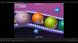 L39 OXIDATIVE PHOSPHORYLATION [upl. by Alduino]