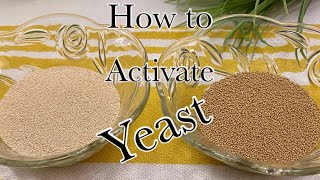 Instant Yeast vs Active Dry Yeast  How to Activate Yeast [upl. by Sara]