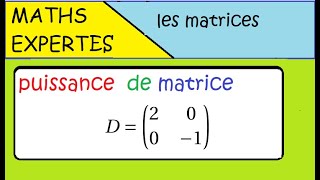 Terminale Maths Expertes Les matrices  exercice  puissance dune matrice [upl. by Leile]