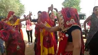 shekhawati dance mahila girl performance [upl. by Rolan722]