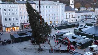 Der Salzburger Christbaum steht [upl. by Ahsatniuq]