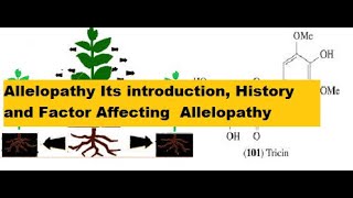 Allelopathy Its introduction History and Factor Affecting Allelopathy [upl. by Anoit]