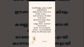 veyil chilla song lyrics malayalam lyrics viralsongstatus trendingonshorts views [upl. by Niveb]