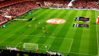 Aquecimento Benfica vs Belenenses [upl. by Assirram641]