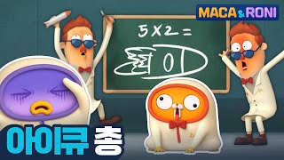 본편 아이큐 총  마카앤로니 Maca and Roni  재밌고 귀여운 힐링 애니메이션 [upl. by Frohne629]