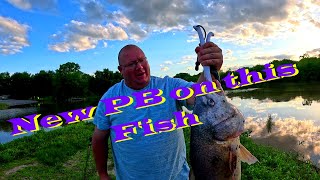 New PB on this fish [upl. by Chiang]