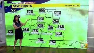 KDKATV Evening Forecast 91 [upl. by Eehc]