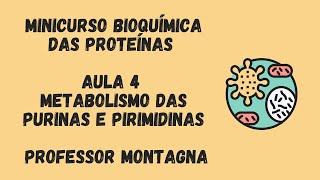 AULA 4  MINI CURSO BIOQUÍMICA DAS PROTEÍNAS  PURINAS E PIRIMIDINAS PROFESSOR MONTAGNA [upl. by Nannahs]