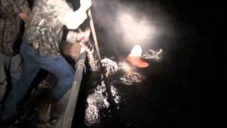 Chris Kills a Monster Alligator 704 Outdoors goes Gator Hunting in Florida [upl. by Nauqit]