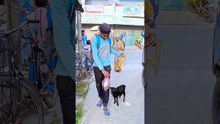 ছাগলকে নিয়ে সারাদিন ঘুরলাম বালুরঘাটে 🐐 minivlog vlog [upl. by Lymann]