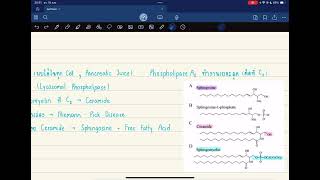 Pharm Biochem  Phospholipid and Eicosanoid Metabolism [upl. by Nahttam]