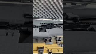 Ruger Precision Rimfire Rifle  22LR  Vortex Eagle 416x42 [upl. by Assenat631]