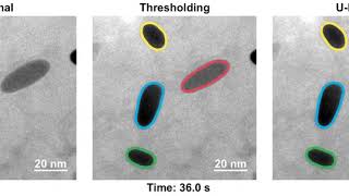 Liquid phase electron microscopy with combined machine learning in action [upl. by Yrocal]