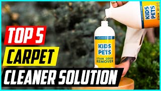 5 Best Carpet Cleaner Solution for Pets [upl. by Naerb429]