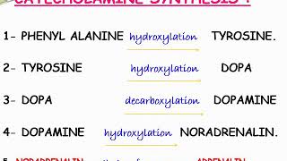 L10 فسيو Adrenergic transmission physio [upl. by Bald]