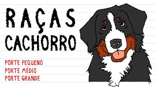 18 RAÇAS DE CACHORRO  Porte Pequeno x Porte Médio x Porte Grande [upl. by Yssim]