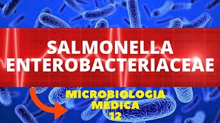 SALMONELLA ENTEROBACTERIACEAE  MICROBIOLOGIA MÉDICA  AULA 12 [upl. by Lozano]