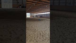 VIKKI GIRL Horse video shes a good girl horse Vikki mare Arab [upl. by Morgen314]