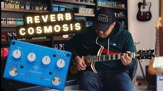 Pigtronix Cosmosis  Reverb Rivolta guitar [upl. by Pentheam]