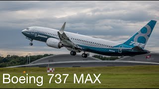 Boeing 737 MAX Fast rotation and vertical climb [upl. by Navad]