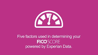 What Five Factors Determine My FICO® Score  Experian Credit 101 Express [upl. by Ed]