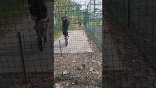 Inside Out Side Shot  shorts cricket cricketleague youtubeshorts ipl trending viralshort [upl. by Tichonn]