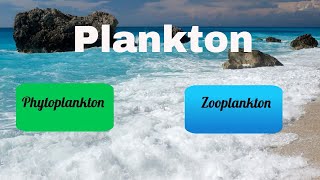 Difference between Zooplankton and Phytoplankton [upl. by Yerroc]