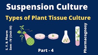 Suspension culture Types of Plant tissue culture I Hindi [upl. by Adrell]