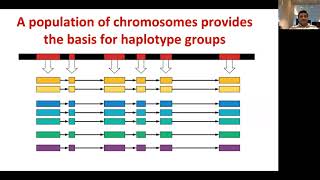 6112018 GOBiiWebinarPracticalHaplotypeGraphDr Ramu Punna [upl. by Trescott]