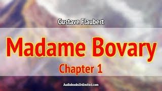 Madame Bovary Audiobook Chapter 1 with subtitles [upl. by Monteria]