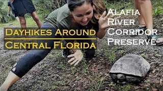 Alafia River Corridor Nature Preserve Trail [upl. by Margalo]