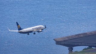 STUNNING RYANAIR LANDING Top View At Madeira Airport [upl. by Pascale478]