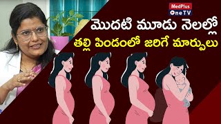 Pregnancy Trimesters Fetal Changes and Safety Tips  DrKSarala MedPlusONETV [upl. by Columbus424]