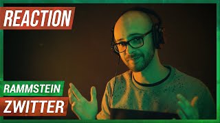 HIP HOP HEAD REACT TO RAMMSTEIN  ZWITTER REACTION [upl. by Burleigh]