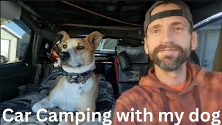 The Ultimate Car Camping Adventure with My Dog [upl. by Yendyc34]