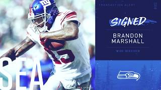 Brandon Marshall Highlights [upl. by Oigres]