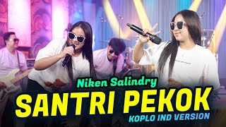 SANTRI PEKOK  NIKEN SALINDRY  KOPLO VERSION COVER BY KOPLO IND [upl. by Hendren549]