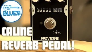 Caline Snake Bite Reverb Pedal [upl. by Halludba289]