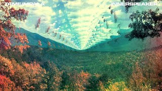 Tame Impala  InnerSpeaker Full Album [upl. by Ardnoek]