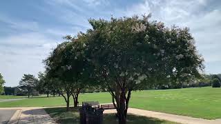 Maryland Veterans Cemetery in Crownsville [upl. by Yrret]