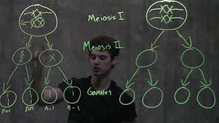 Genetics Nondisjunction amp Meiosis [upl. by Thad65]