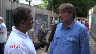 20150901 Sommerfest Falknerei Bergisch Land [upl. by Kraft]