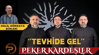 TEVHİDE GEL PEKER KARDEŞLER2024 [upl. by Eat]