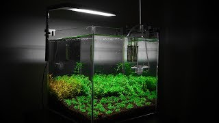 NANO AQUARIUM  AQUASCAPING FOR BEGINNERS [upl. by Narhet669]