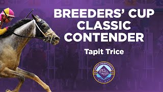 2024 Breeders Cup Classic Spotlight  Tapit Trice [upl. by Siger951]